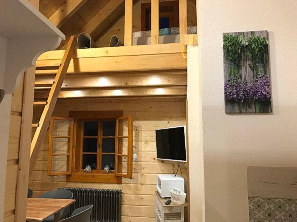 Apartamento U Mistra Vichra Černý Důl Exterior foto