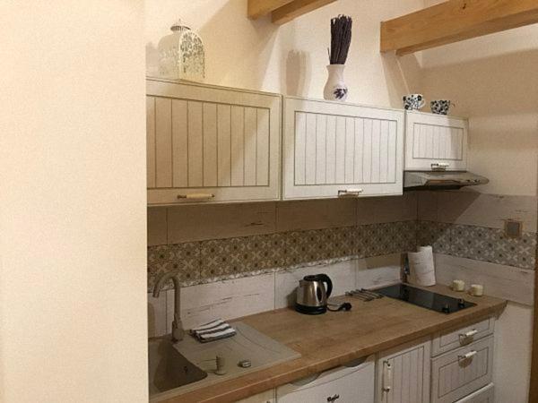 Apartamento U Mistra Vichra Černý Důl Exterior foto